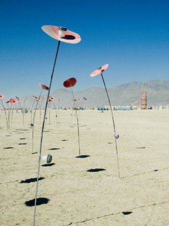  Burning Man ( ) 2010 (158  + 5 )