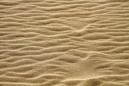   Tottori   (18   + 3 )