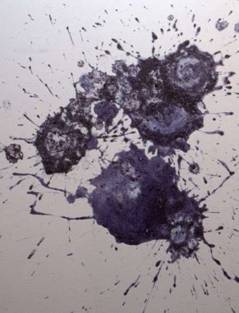 Millie Brown -    (31  + 1 )