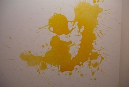 Millie Brown -    (31  + 1 )