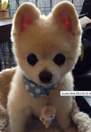  KotaKoti    (32  + 5 )