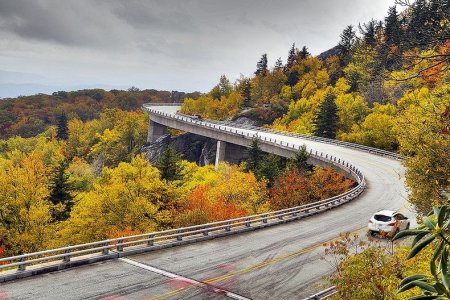    Linn Cove Viaduct (16  + 2 )