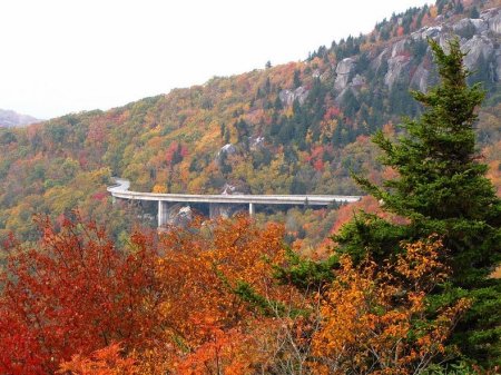     Linn Cove Viaduct (16  + 2 )