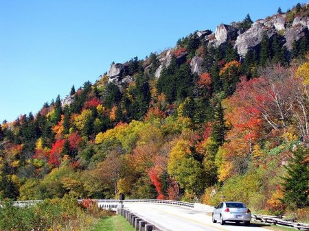     Linn Cove Viaduct (16  + 2 )