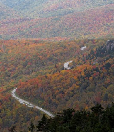     Linn Cove Viaduct (16  + 2 )