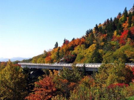     Linn Cove Viaduct (16  + 2 )