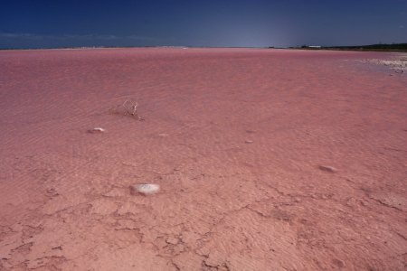 lake hillier      (12  + 1 )