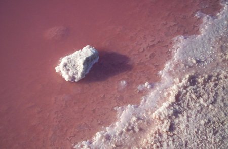lake hillier      (12  + 1 )