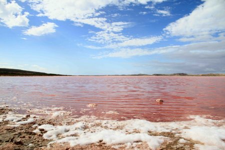 lake hillier      (12  + 1 )