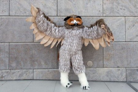     Leipziger Buchmesse 2013 (42 )